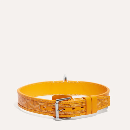 Franklin Collar With Box